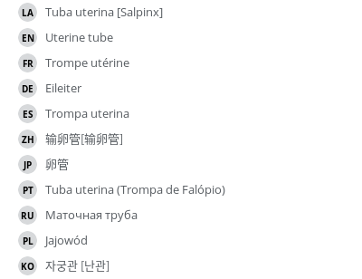 Translations