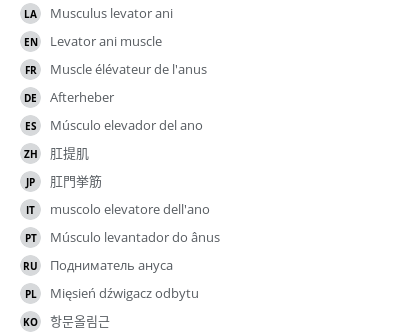 Translations