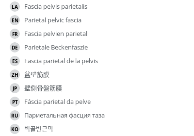 Translations