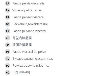 Translations
