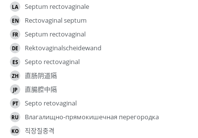 Translations