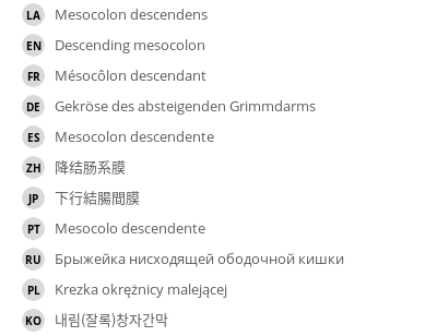 Translations