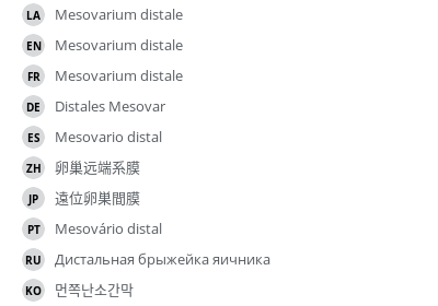 Translations