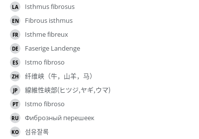 Translations