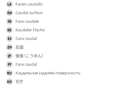 Translations