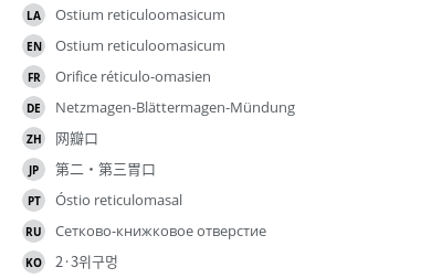 Translations