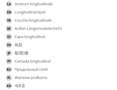 Translations