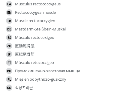 Translations