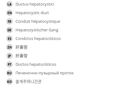 Translations
