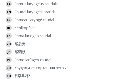 Translations