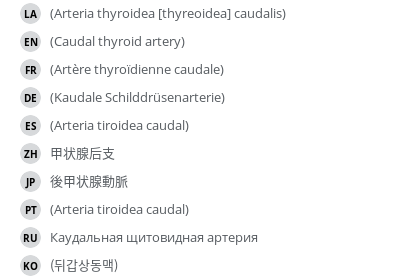 Translations