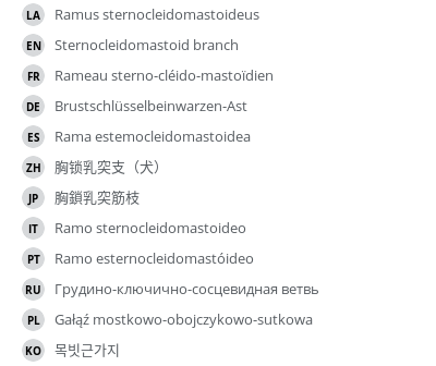Translations