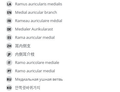 Translations
