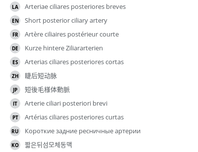 Translations