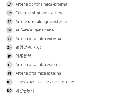 Translations