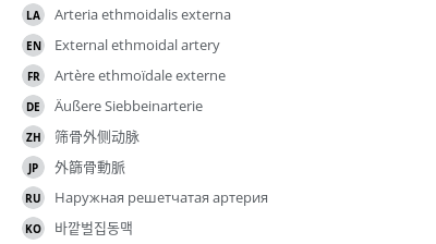 Translations