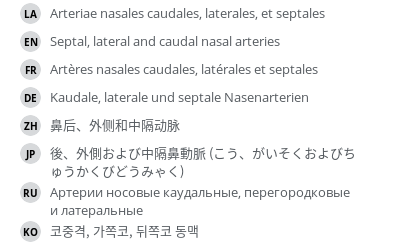 Translations