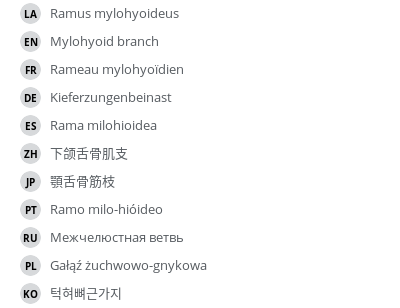 Translations