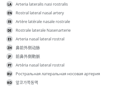 Translations