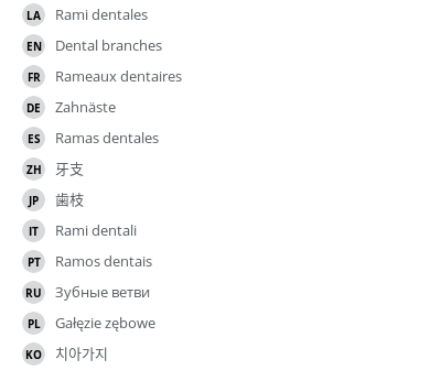 Translations