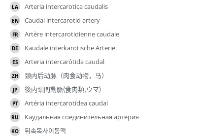 Translations