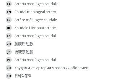 Translations
