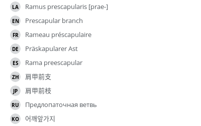 Translations