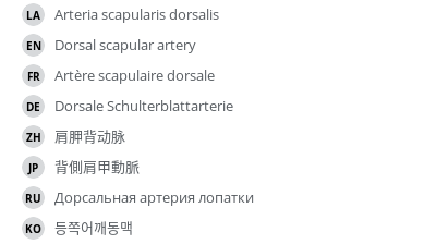 Translations