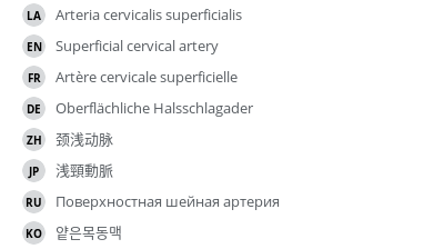 Translations