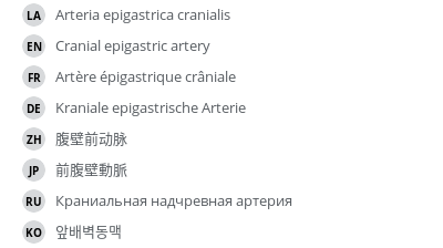 Translations