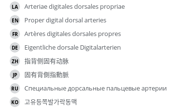 Translations