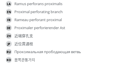 Translations
