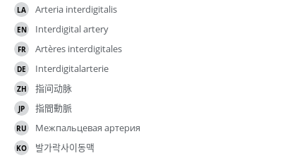 Translations