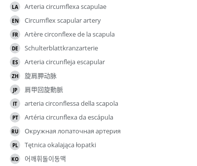 Translations