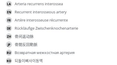 Translations