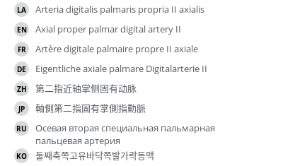 Translations