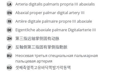 Translations