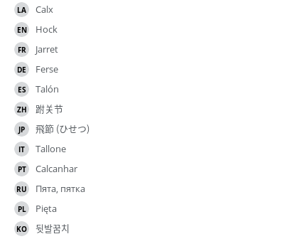 Translations