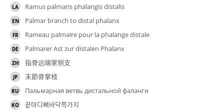Translations