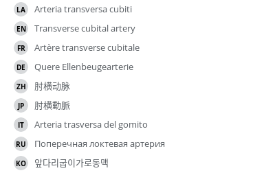 Translations