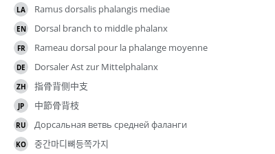 Translations