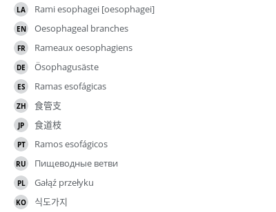 Translations