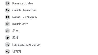 Translations
