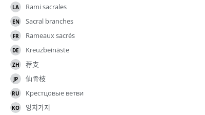 Translations