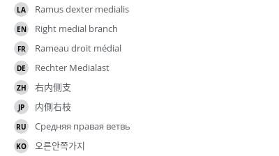 Translations