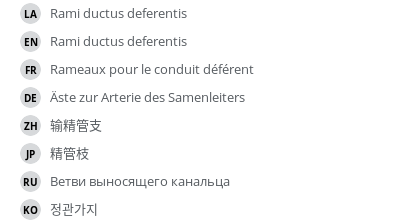 Translations
