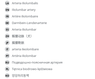 Translations