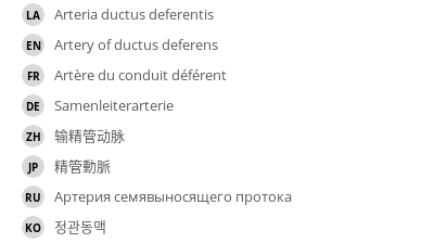 Translations