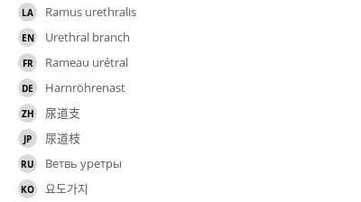 Translations