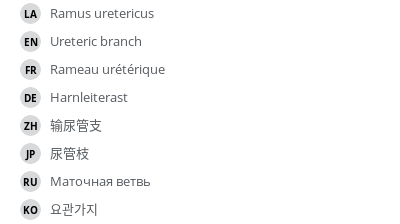 Translations